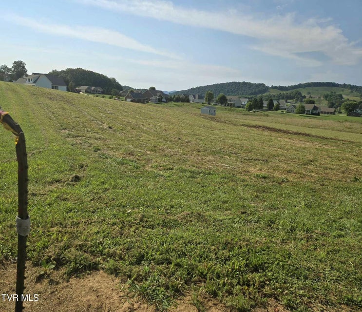 Photo #14: Tbd Snaffle Bit Lane