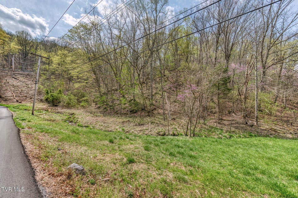 Photo #3: 635 Harbor Springs Road