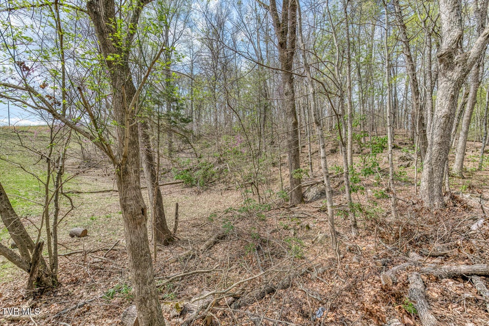 Photo #5: 635 Harbor Springs Road