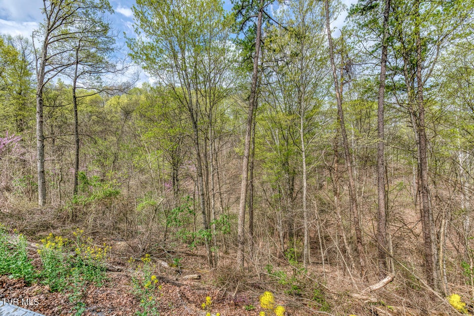 Photo #11: 635 Harbor Springs Road