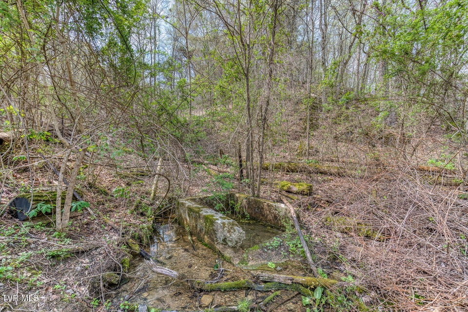 Photo #14: 635 Harbor Springs Road