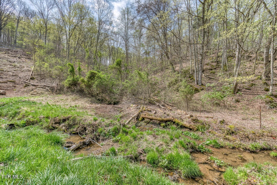 Photo #15: 635 Harbor Springs Road