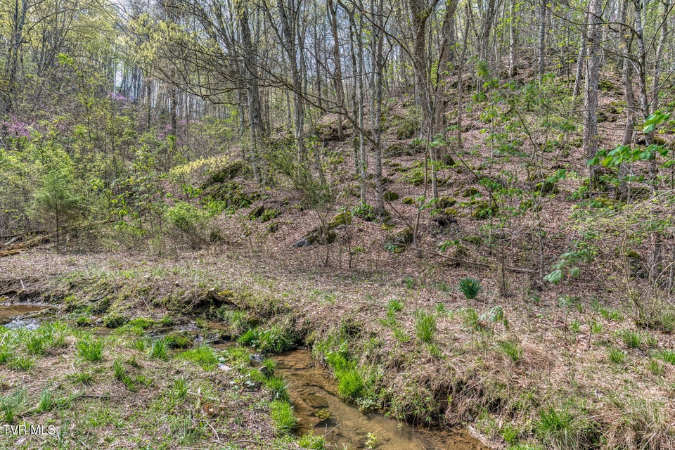 Photo #16: 635 Harbor Springs Road