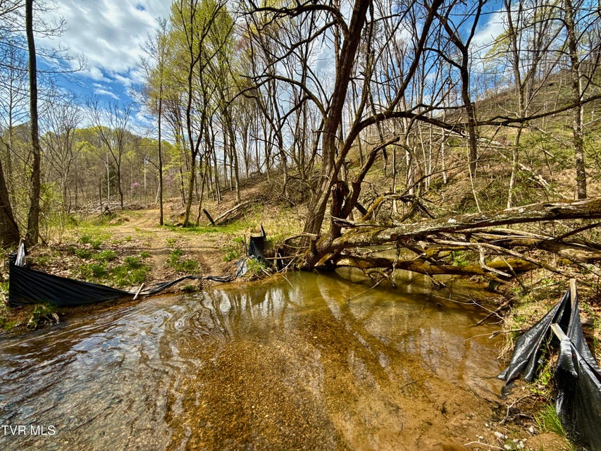 Photo #6: 118/Ac Tbd N Central Avenue