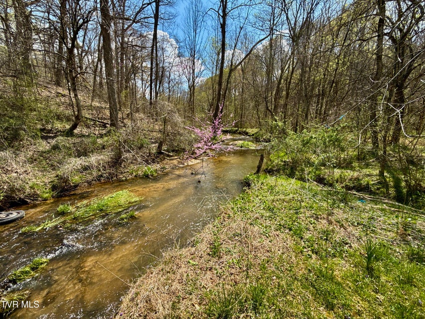 Photo #7: 118/Ac Tbd N Central Avenue