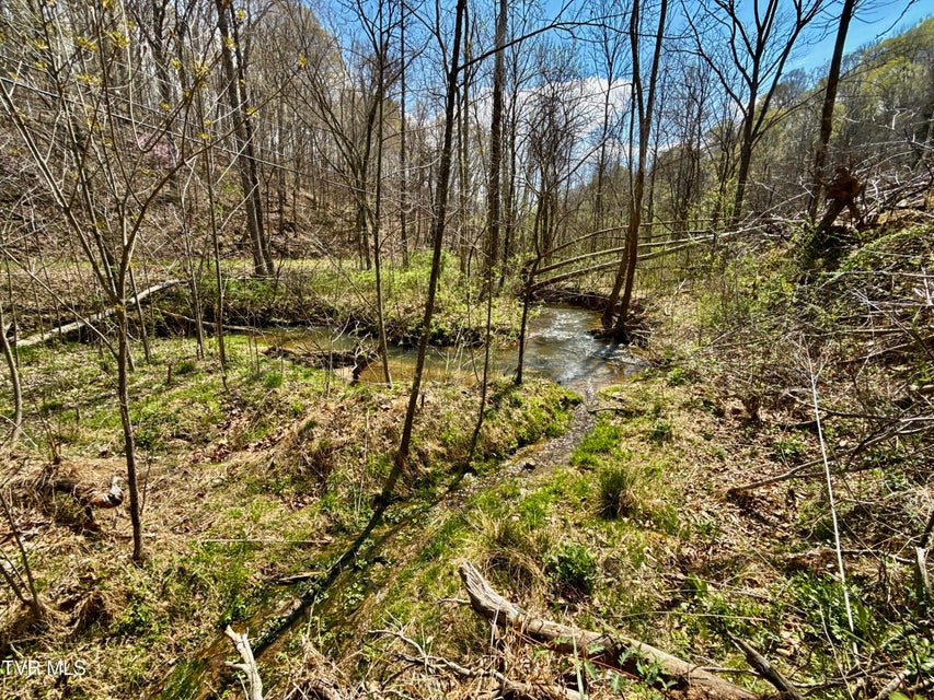 Photo #8: 118/Ac Tbd N Central Avenue