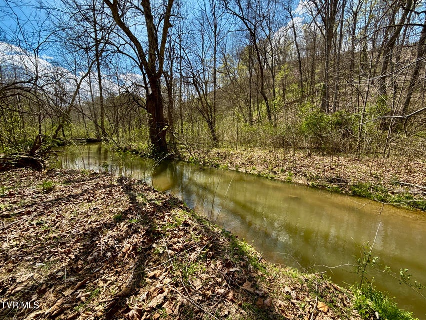 Photo #10: 118/Ac Tbd N Central Avenue