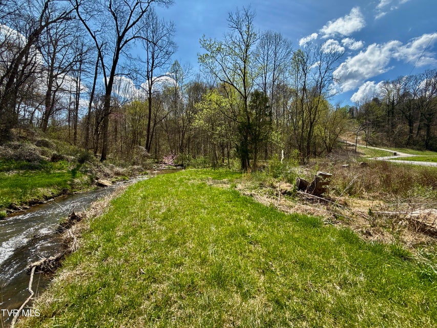 Photo #11: 118/Ac Tbd N Central Avenue