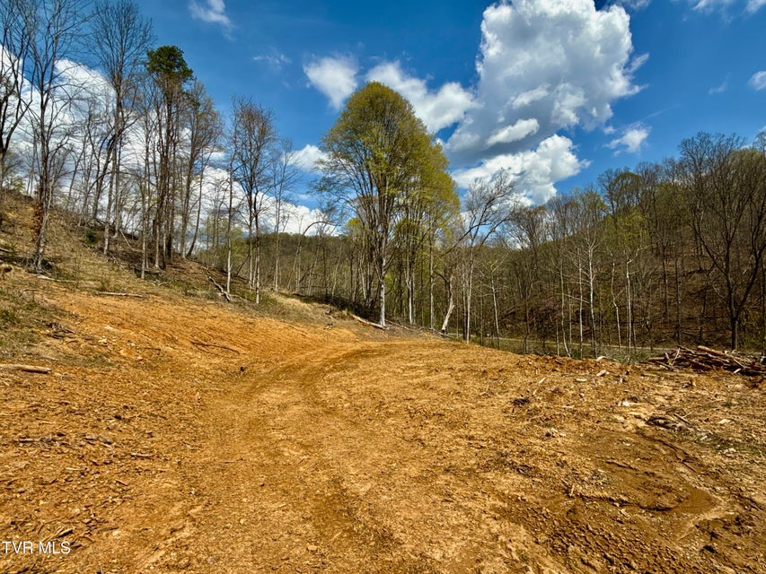 Photo #13: 118/Ac Tbd N Central Avenue