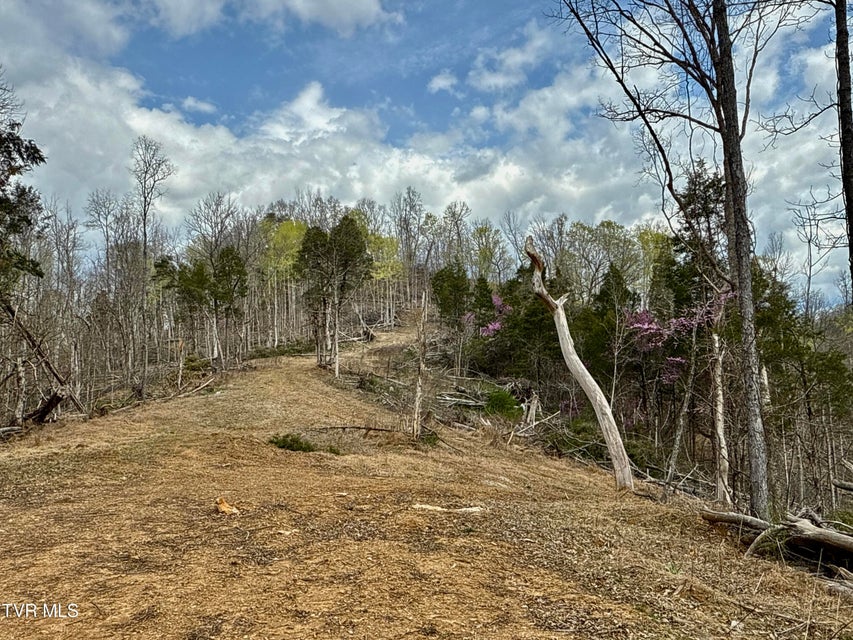 Photo #14: 118/Ac Tbd N Central Avenue