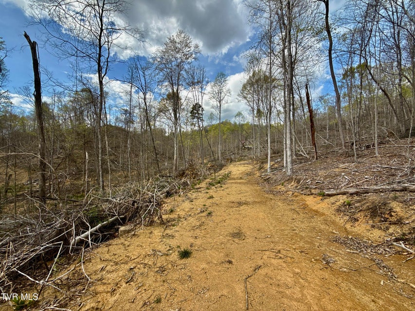 Photo #15: 118/Ac Tbd N Central Avenue