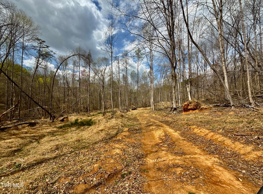Photo #16: 118/Ac Tbd N Central Avenue