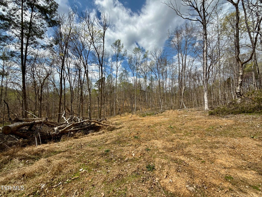 Photo #17: 118/Ac Tbd N Central Avenue