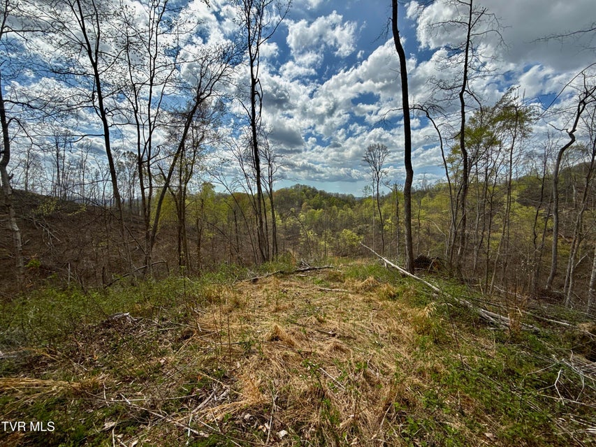 Photo #18: 118/Ac Tbd N Central Avenue