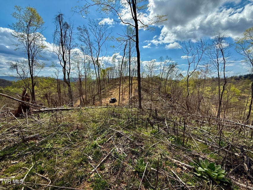 Photo #21: 118/Ac Tbd N Central Avenue