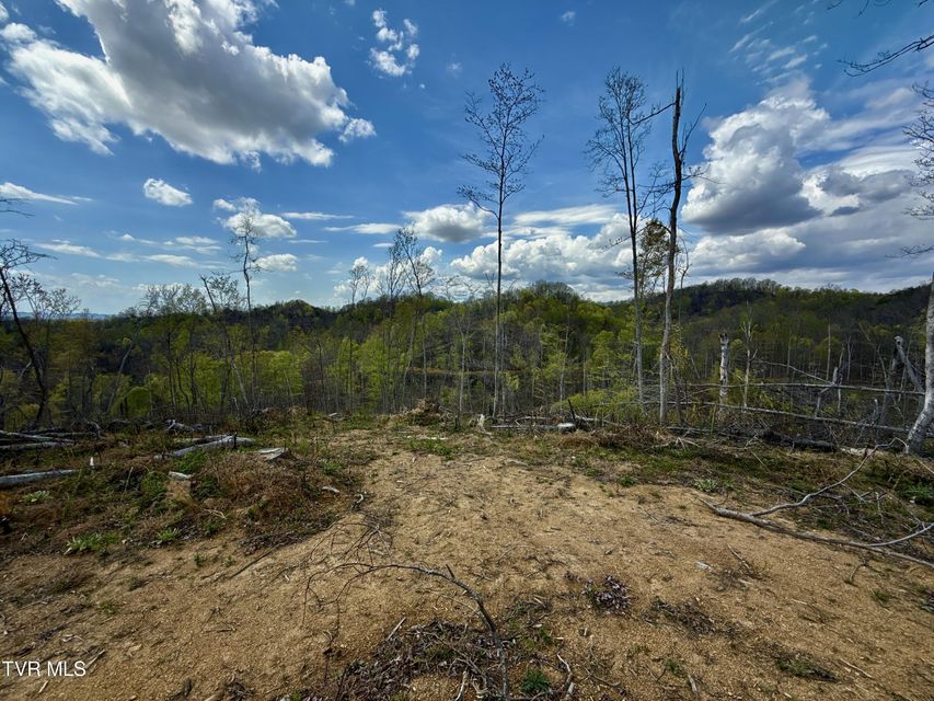 Photo #22: 118/Ac Tbd N Central Avenue