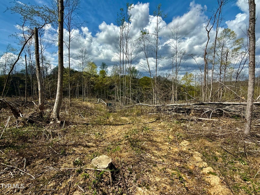 Photo #23: 118/Ac Tbd N Central Avenue