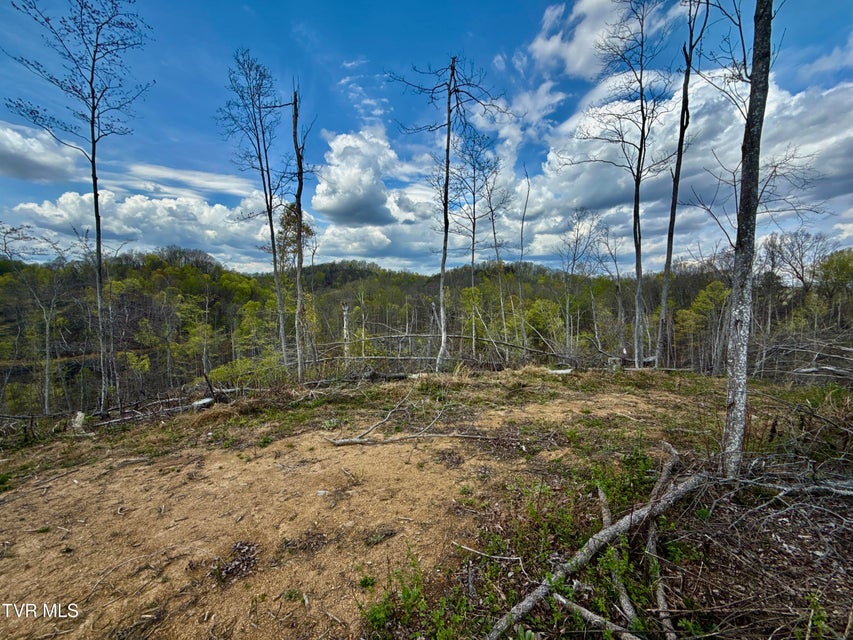 Photo #24: 118/Ac Tbd N Central Avenue