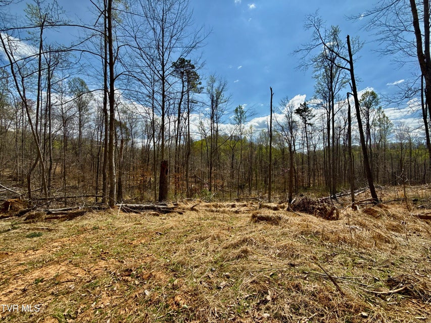 Photo #25: 118/Ac Tbd N Central Avenue