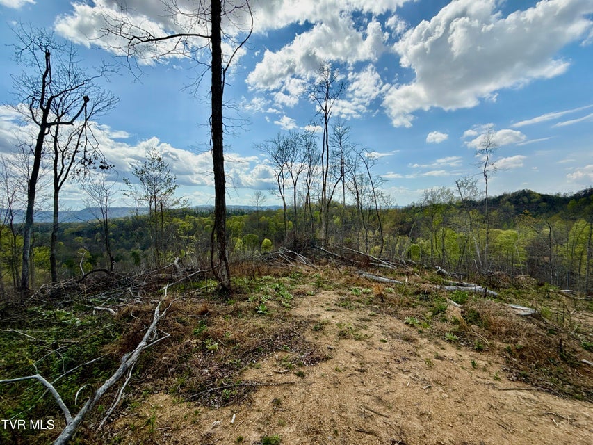 Photo #26: 118/Ac Tbd N Central Avenue