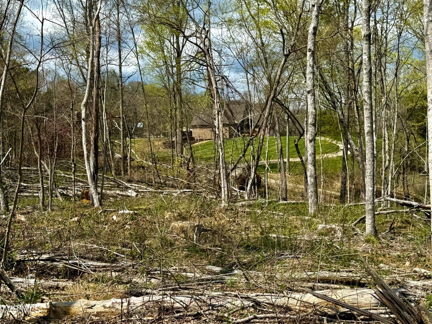 Photo #28: 118/Ac Tbd N Central Avenue