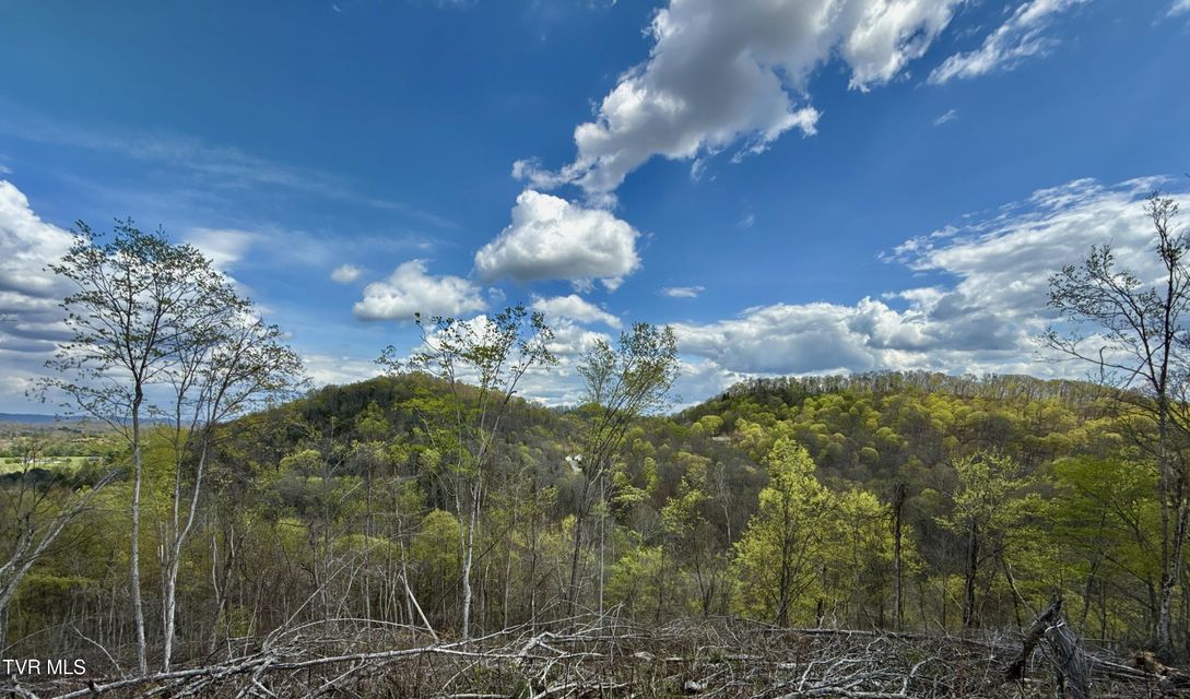 Photo #30: 118/Ac Tbd N Central Avenue