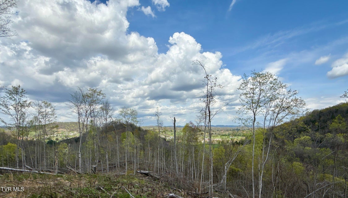 Photo #32: 118/Ac Tbd N Central Avenue