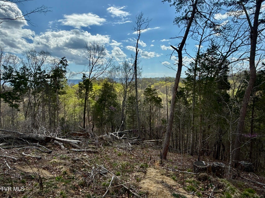 Photo #33: 118/Ac Tbd N Central Avenue