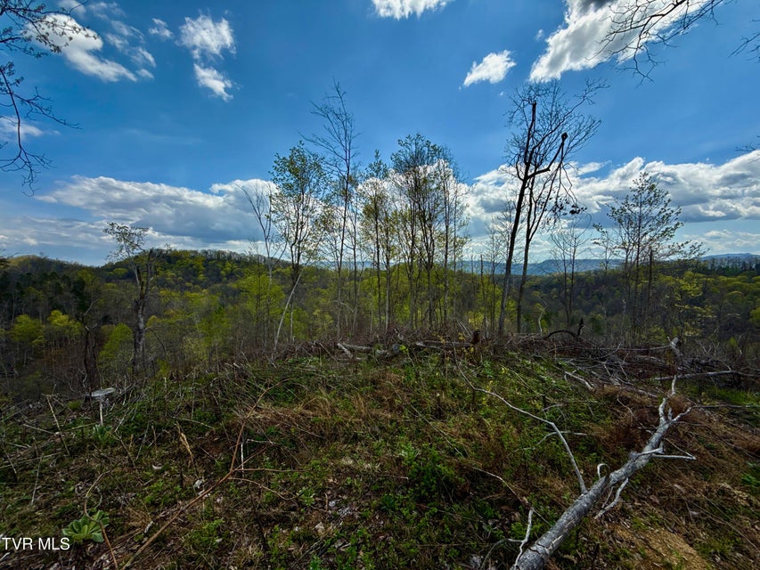 Photo #37: 118/Ac Tbd N Central Avenue