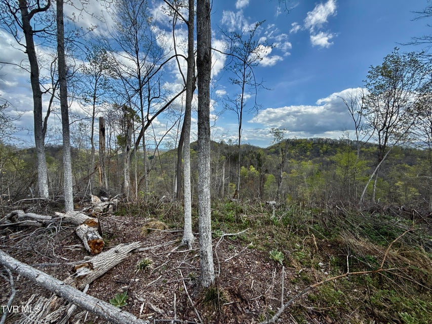 Photo #38: 118/Ac Tbd N Central Avenue