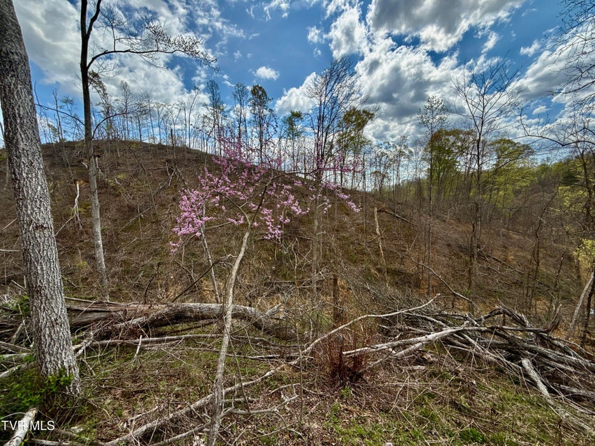 Photo #39: 118/Ac Tbd N Central Avenue