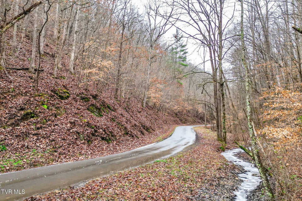 Photo #9: 0 Bristol Highway