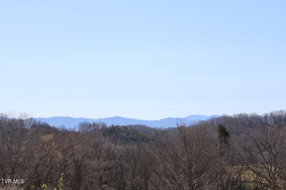 Photo #7: 875 Pates Hill Road