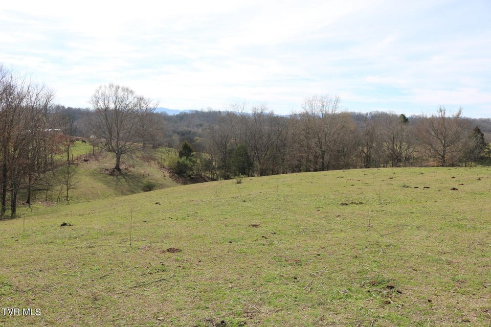 Photo #25: 875 Pates Hill Road