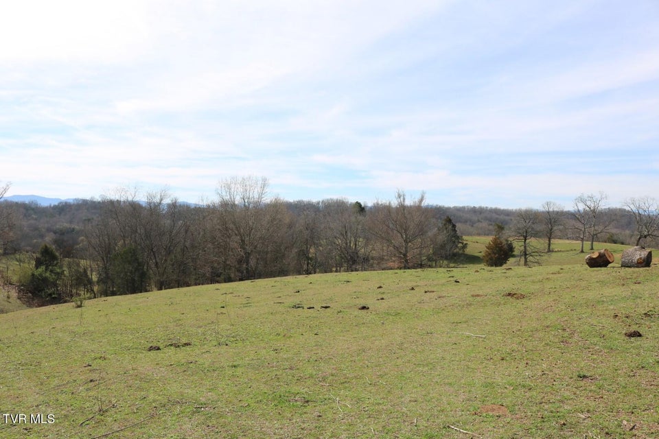 Photo #27: 875 Pates Hill Road