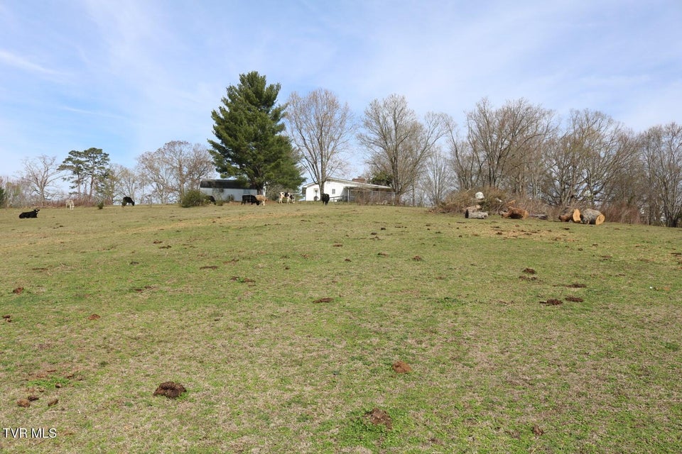 Photo #28: 875 Pates Hill Road
