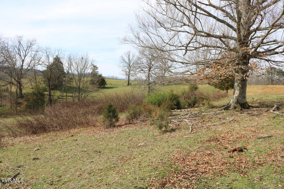 Photo #31: 875 Pates Hill Road