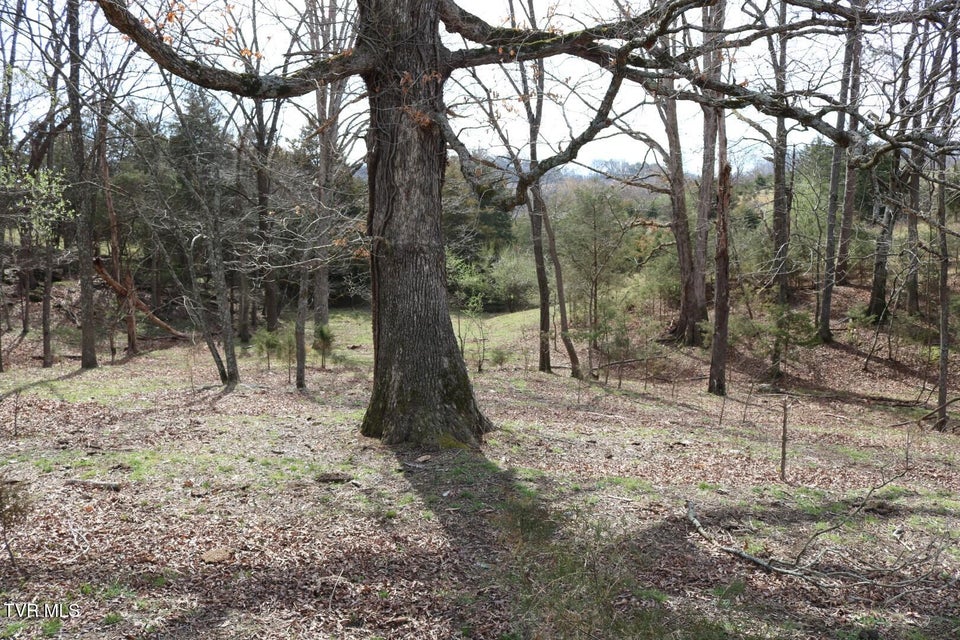 Photo #32: 875 Pates Hill Road