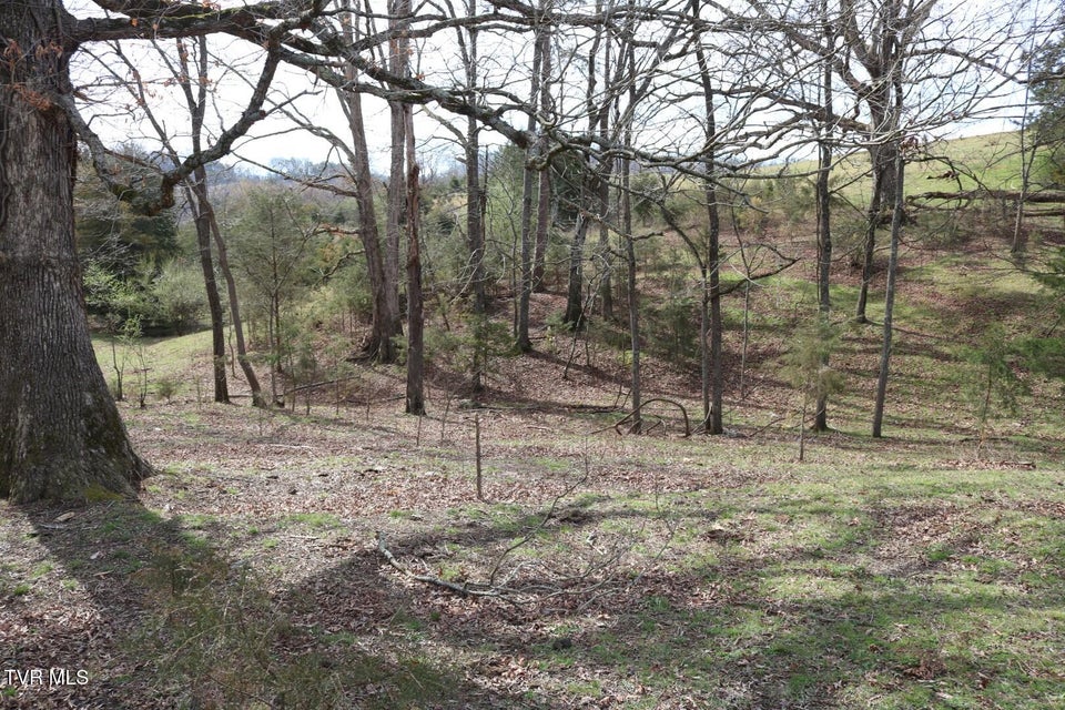 Photo #33: 875 Pates Hill Road