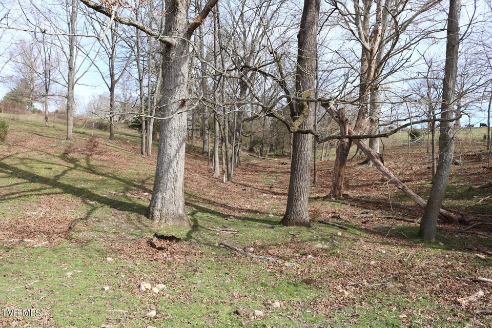 Photo #34: 875 Pates Hill Road
