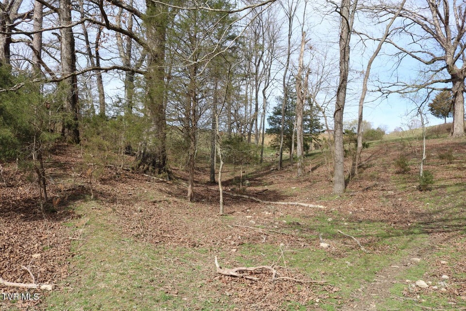 Photo #35: 875 Pates Hill Road