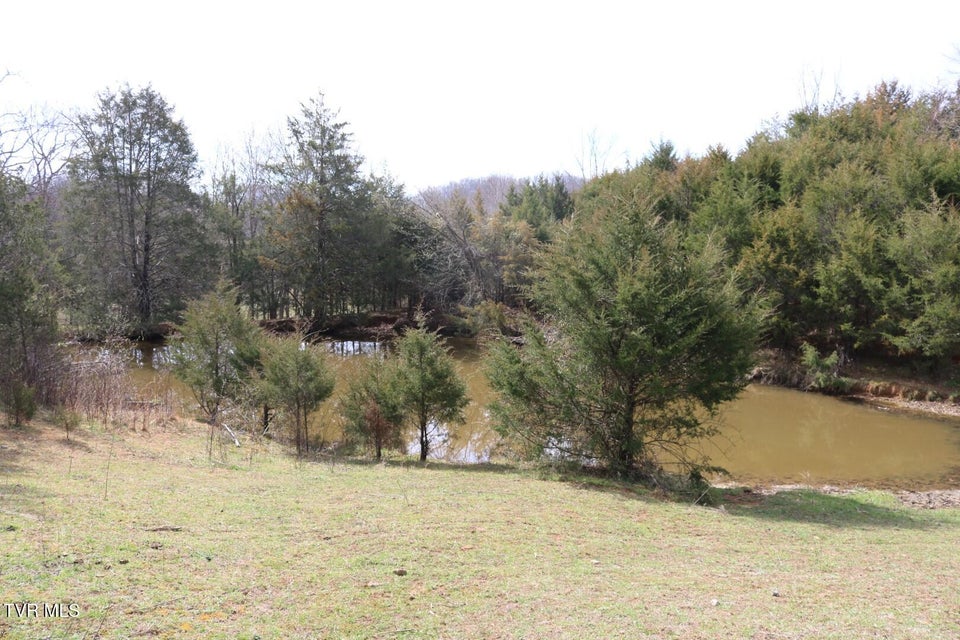 Photo #37: 875 Pates Hill Road