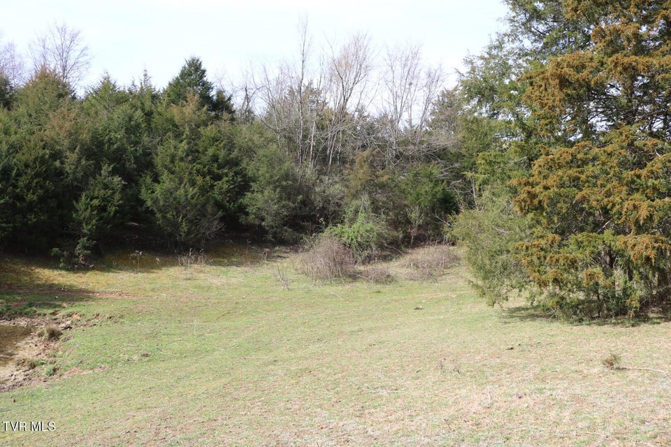 Photo #38: 875 Pates Hill Road