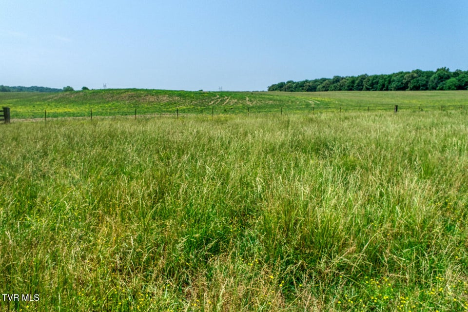 Photo #87: 4135 Ottway Road