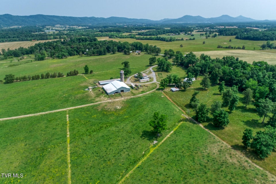 Photo #82: 4135 Ottway Road