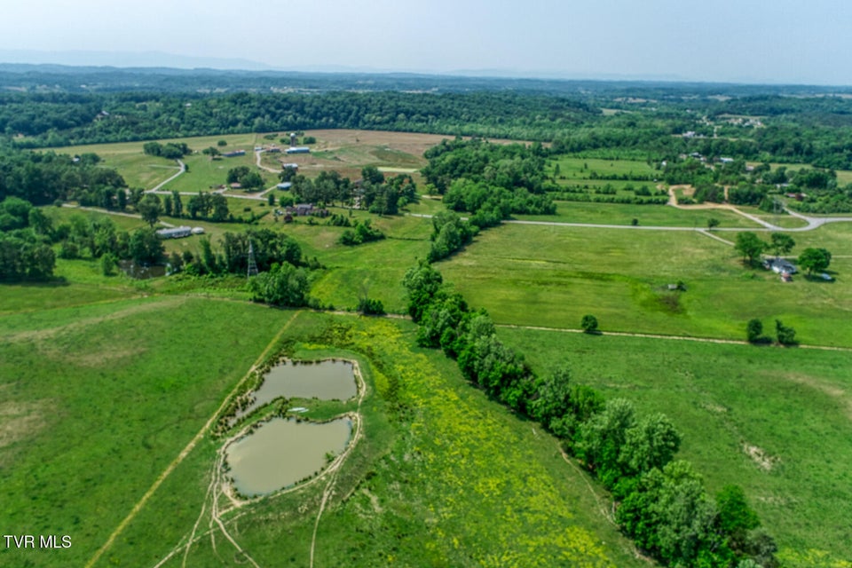 Photo #91: 4135 Ottway Road