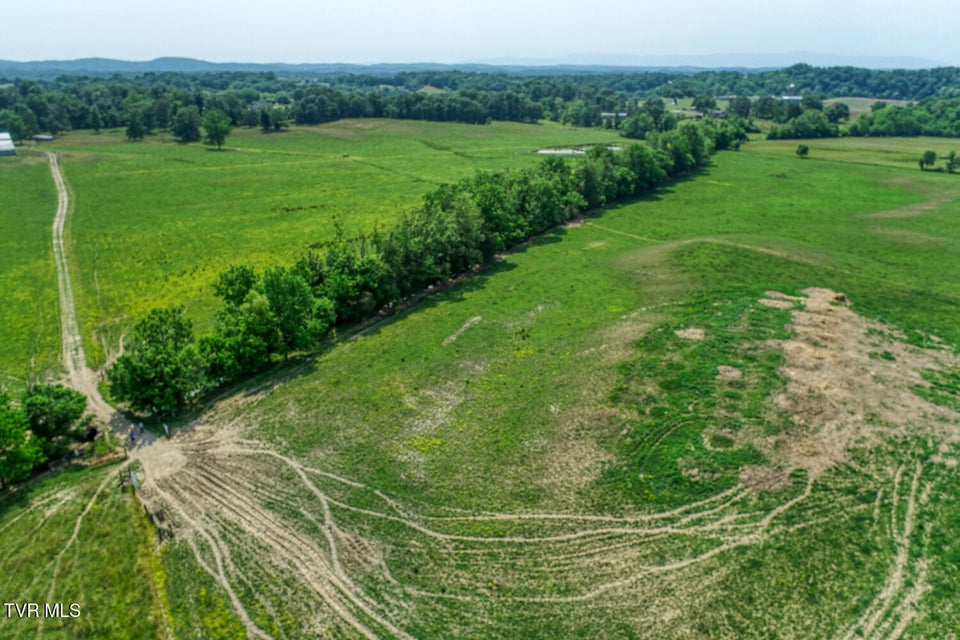 Photo #97: 4135 Ottway Road