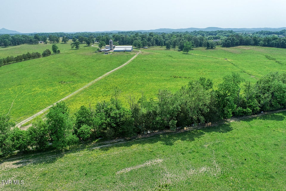 Photo #78: 4135 Ottway Road