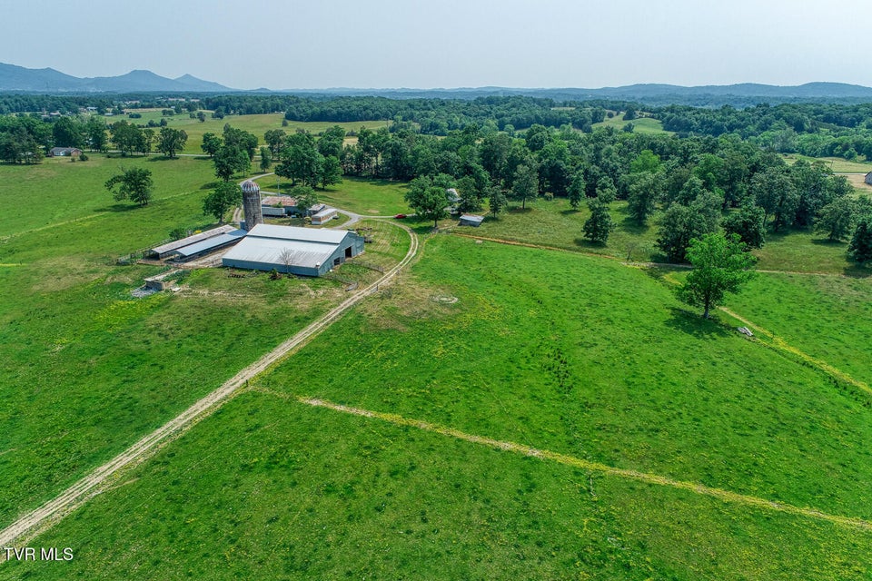 Photo #75: 4135 Ottway Road