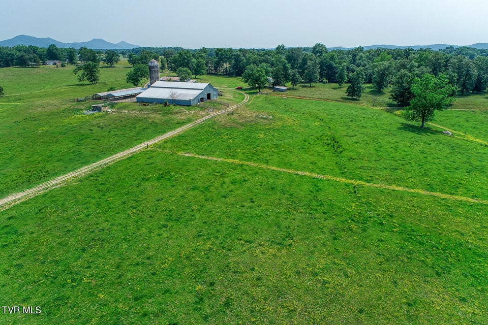 Photo #76: 4135 Ottway Road